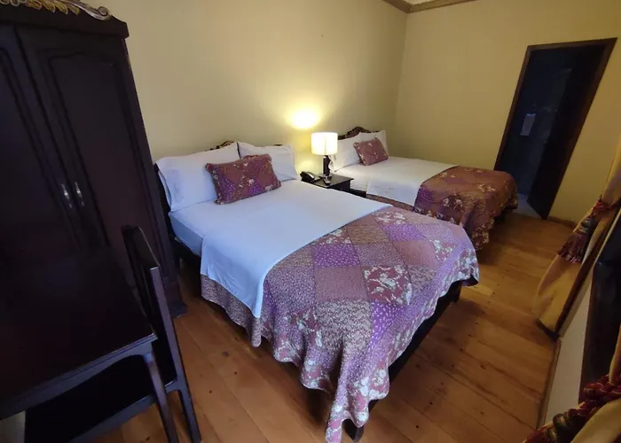 Hotel Vieja Mansion